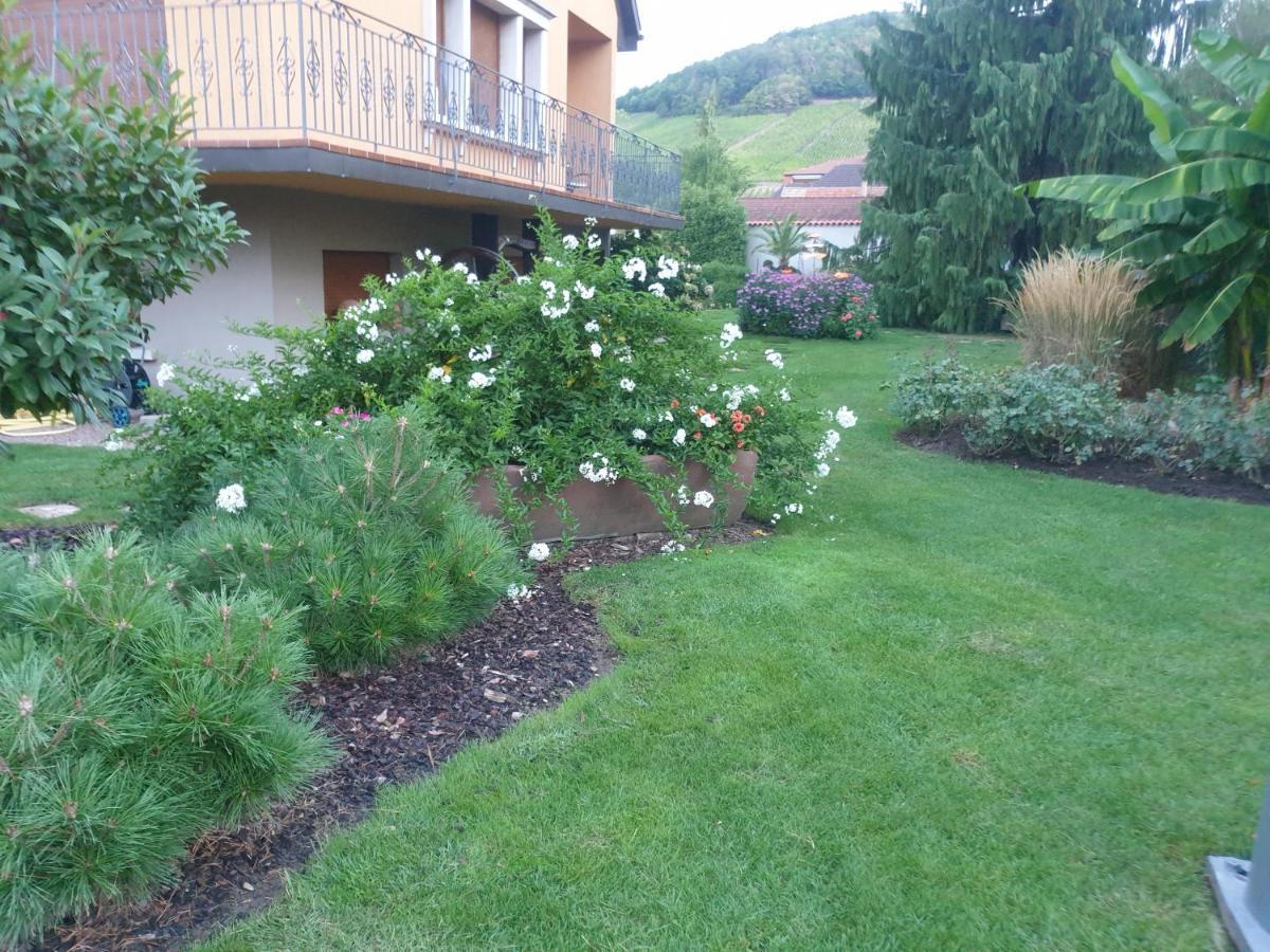 La Rocatelle Apartment Andlau-au-Val Exterior foto